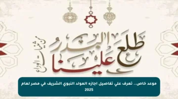 موعد خاص.. تعرف على تفاصيل إجازة المولد النبوي الشريف في مصر لعام 2025